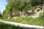 limestone